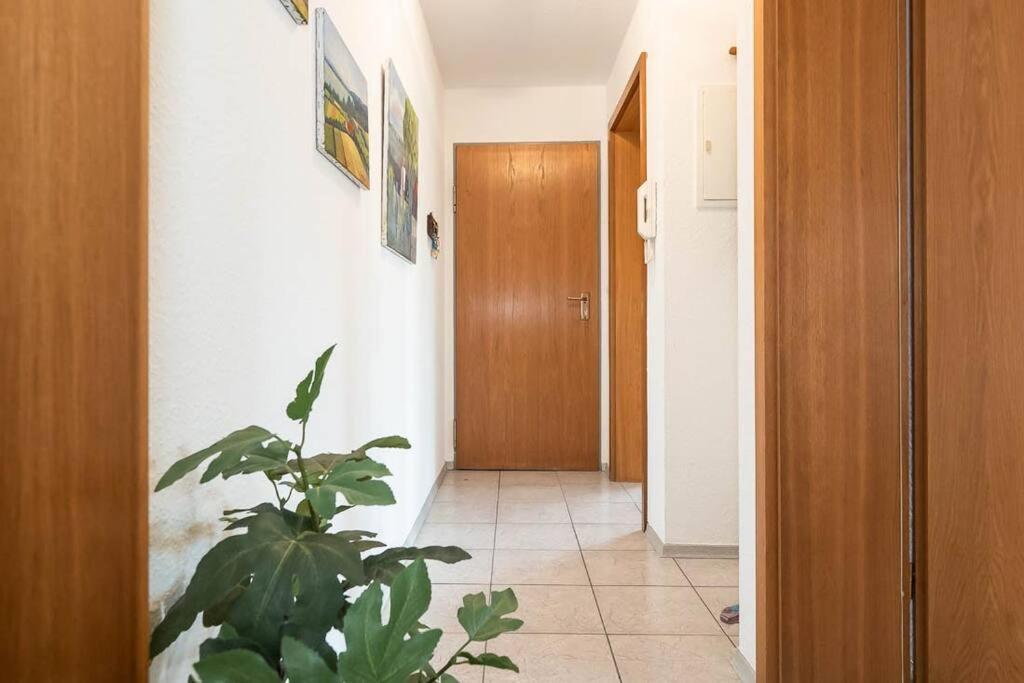 Ferienwohnung Julija Riedheim 希尔金根 外观 照片