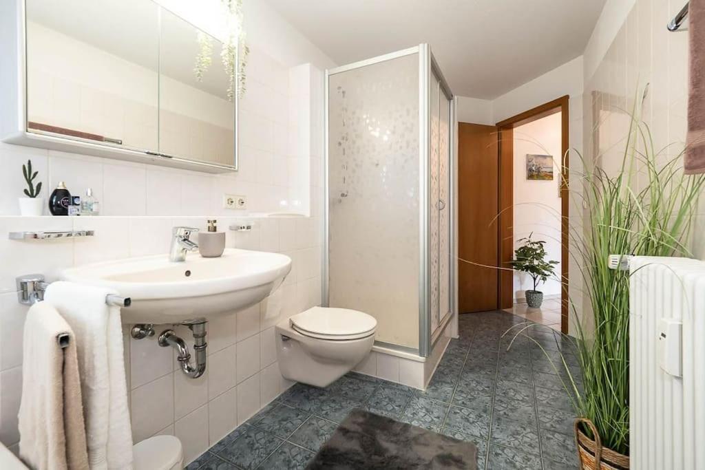 Ferienwohnung Julija Riedheim 希尔金根 外观 照片