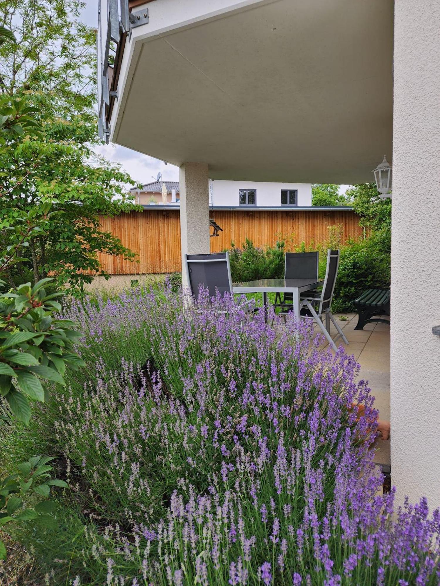 Ferienwohnung Julija Riedheim 希尔金根 外观 照片